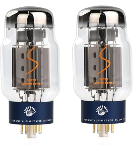 Amazon.com: 全新電流匹配對Svetlana 6550 / 6550C (KT88) 重新